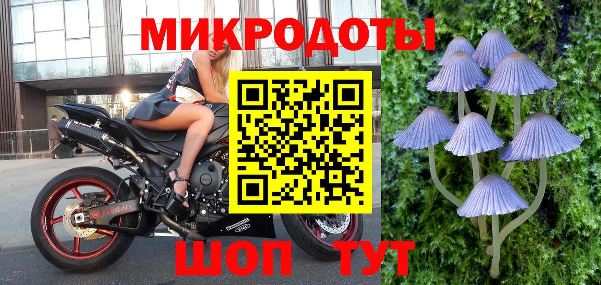 Псилоцибиновые грибы Psilocybine cubensis Энгельс