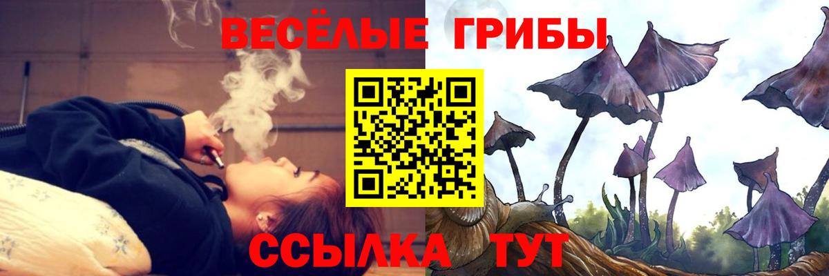 Псилоцибиновые грибы мицелий  Вход с VPN  Энгельс  Псилоцибиновые грибы Magic Shrooms 